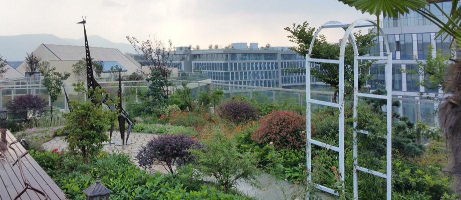 南京萬通城市建設(shè)設(shè)計院弱電系統(tǒng)項(xiàng)目案例。